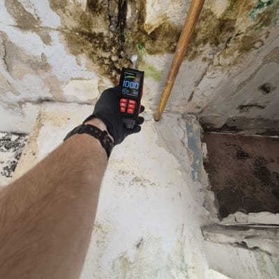 מד לחות נוגע בקיר עם רטיבות ועובש