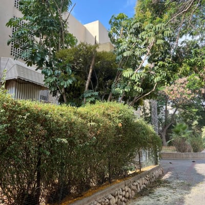 גיזום שיחים ועצים ליד בניין מגורים