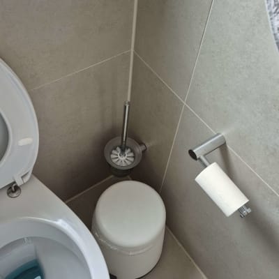 שירותים עם מברשת ניקוי ונייר טואלט