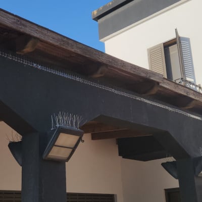 דוקרנים על גג למניעת יונים