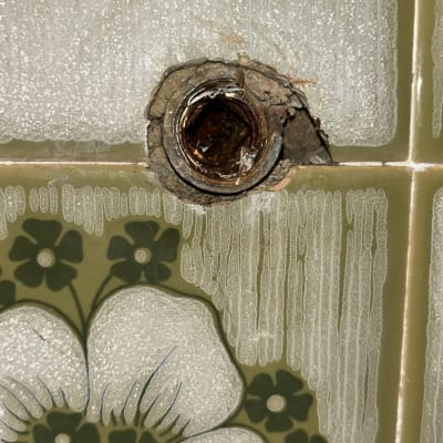 צינור חלוד בקיר אריחים עם פרח