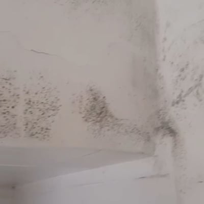 קיר עם סימני עובש ופגמים