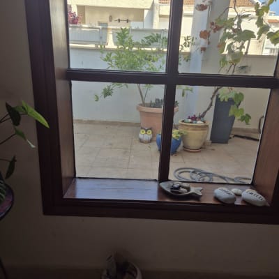 חלון זכוכית עם עציצים בחוץ