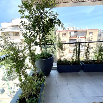 עציצים עם צמחים ירוקים במרפסת מרוצפת