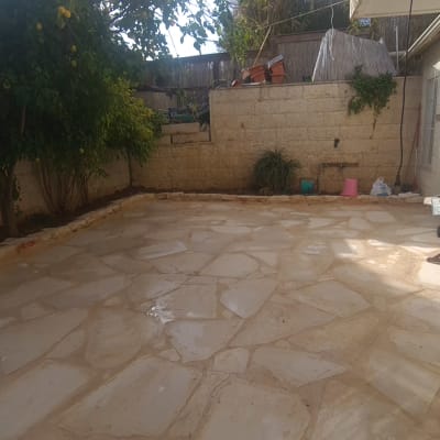 עץ לימון, עציצים, צינור השקיה, גינה קטנה