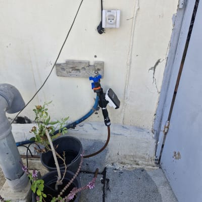 עציצים וצינור השקיה מחובר לקיר