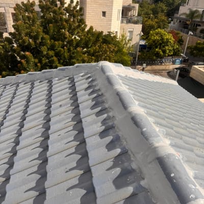 גג רעפים עם נוף של בניינים ועצים ברקע