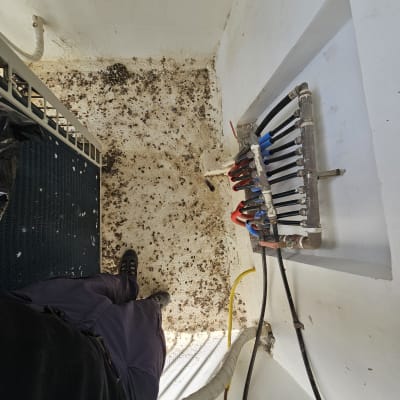 רצפה מלוכלכת בלשלשת יונים ליד צינורות ומתקן חימום