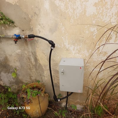 צינור השקיה מחובר לקיר עם עציץ