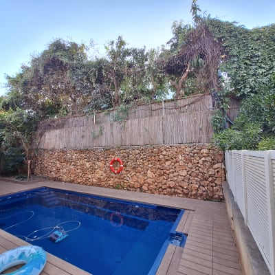 גדר במבוק עם צמחייה מטפסת על קיר אבן