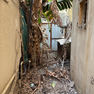 עלים יבשים ופסולת בחצר צרה בין קירות