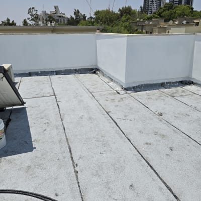 גג אטום עם חומרי איטום על רקע בניינים ועצים