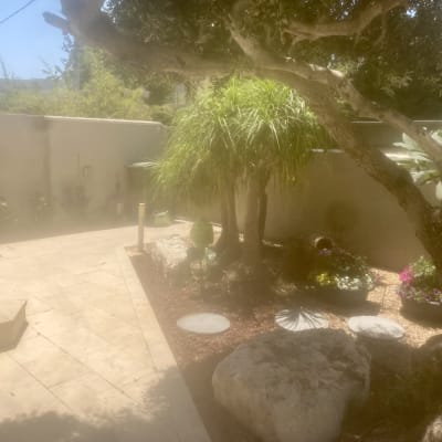 עץ, צמחים ופרחים בגינה מוארת בשמש