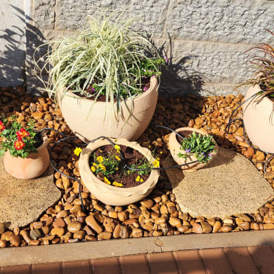 עציצים עם צמחים שונים על חצץ בגינה