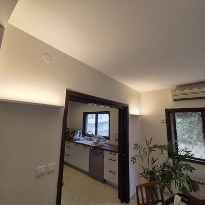 חדר עם קירות צבועים, מזגן וצמח