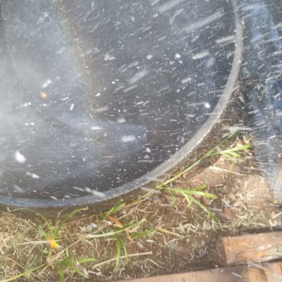 מים מותזים על משטח עץ עם דשא מסביב