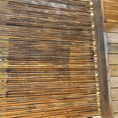 קיר במבוק ועץ בגינה