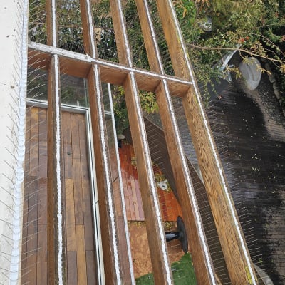 קורות עץ עם דוקרנים למניעת קינון יונים