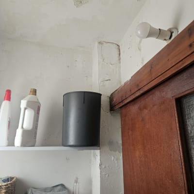 קיר עם סימני רטיבות ומדף עם מוצרי ניקוי