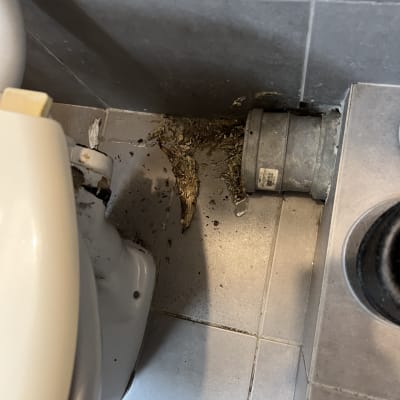 תמונה של שירותים עם צינור ונזילה