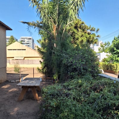 שולחן עץ בגינה עם צמחייה ירוקה ועצים