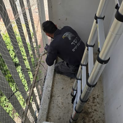 אדם מתקין רשת למניעת יונים במרפסת עם סולם מתקפל