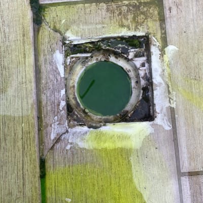 ניקוז רצפה עם סימני רטיבות וכתמים ירוקים