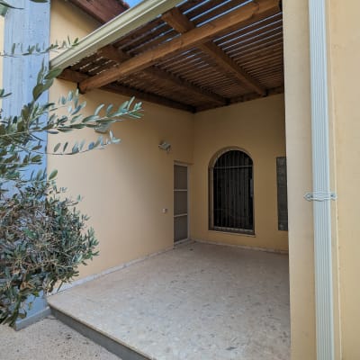 פרגולה מעץ מעל מרפסת מרוצפת ליד עץ זית