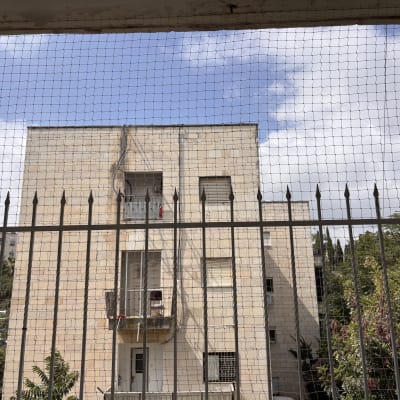 בניין עם רשת למניעת כניסת יונים