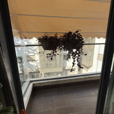 מרפסת עם סוכך כתום תלוי מעל עציצים