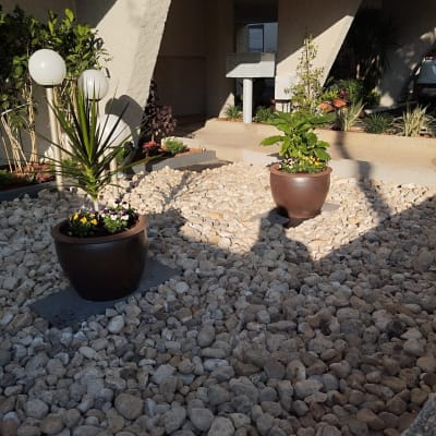 עציצים עם צמחים ופרחים על חצץ בגינה