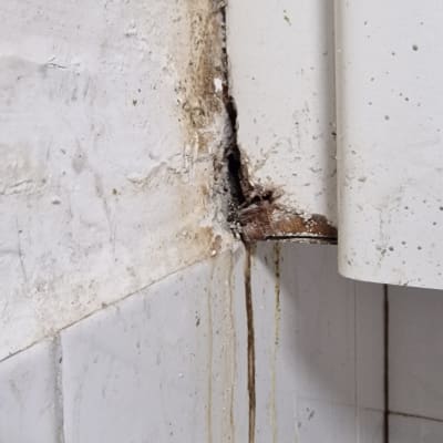 נזקי רטיבות בקיר פנימי עם סימני עובש