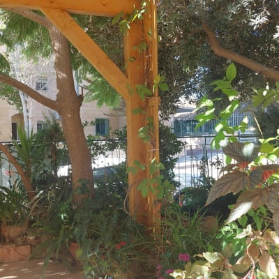 פרגולה מעץ עם צמחים מסביב בגינה