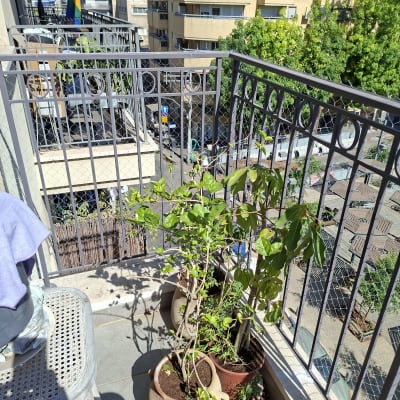 מרפסת עם עציצים ומעקה רשת בבניין מגורים