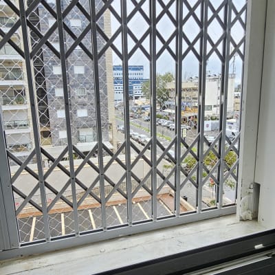 סורגי חלון עם נוף עירוני ברקע