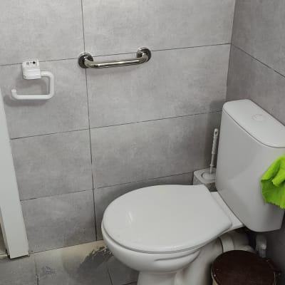 שירותים עם ידית אחיזה ומתקן לנייר טואלט