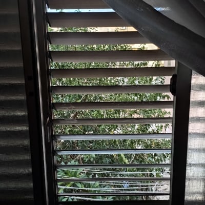 תריסים פתוחים עם נוף של עצים בחוץ