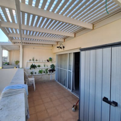 גינה אנכית עם צמחים על קיר מרפסת