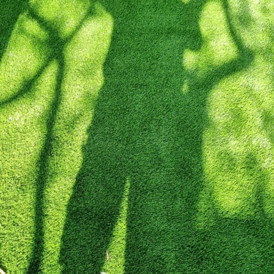 צללים על דשא ירוק בגינה