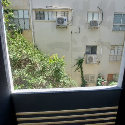 רשת הגנה על חלון למניעת כניסת יונים