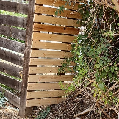 גדר עץ חדשה עם צמחייה מסביב