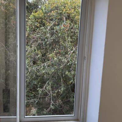 תמונה אינה מציגה עבודה בתחום