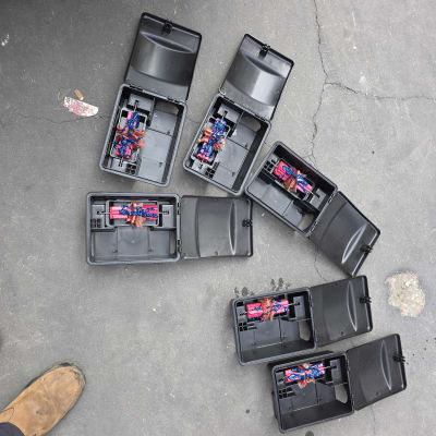 תיבות פיתיון להדברה על הקרקע