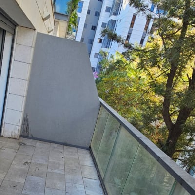 עציץ עם צמח ירוק על מרפסת עם רצפת אבן