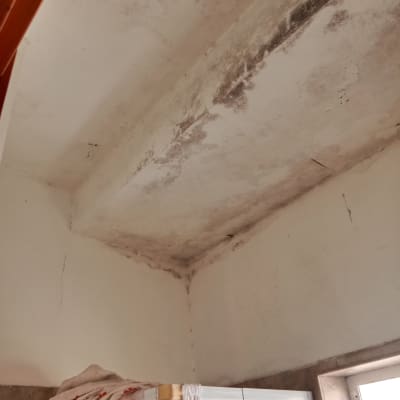 תקרה עם סימני רטיבות ועובש, זקוקה לצביעה