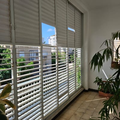 תריסים במרפסת עם צמחים ברקע