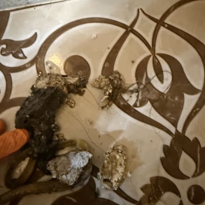 חפצים סתומים על רצפה, ייתכן קשור לאינסטלציה