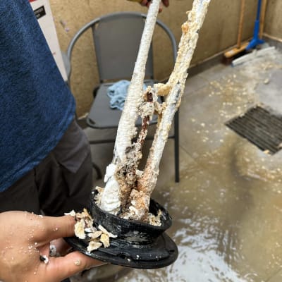 תמונה אינה מציגה עבודה בתחום