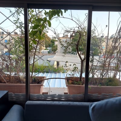 חלון זכוכית עם עציצים בחוץ