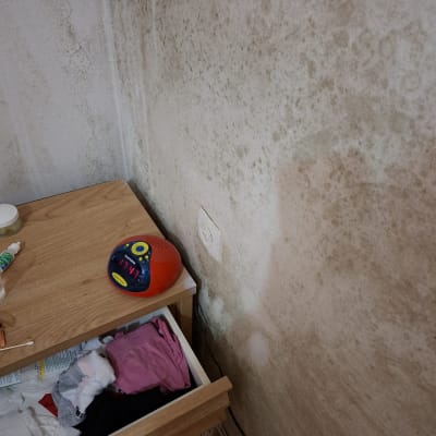 קיר עם עובש ליד שידה מעץ